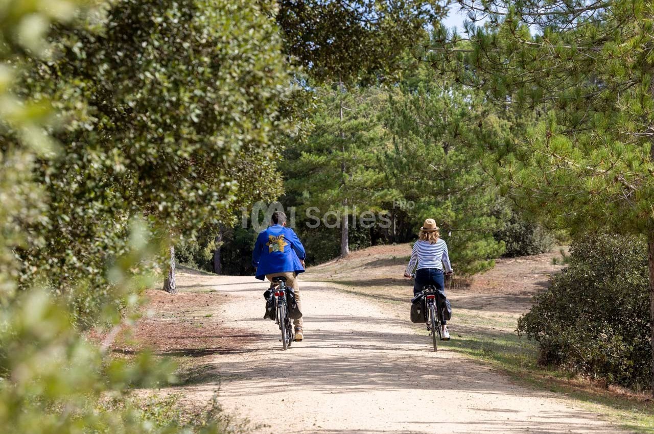 Deux personnes à vélo sur un chemin forestier bordé d'arbres et de végétation.