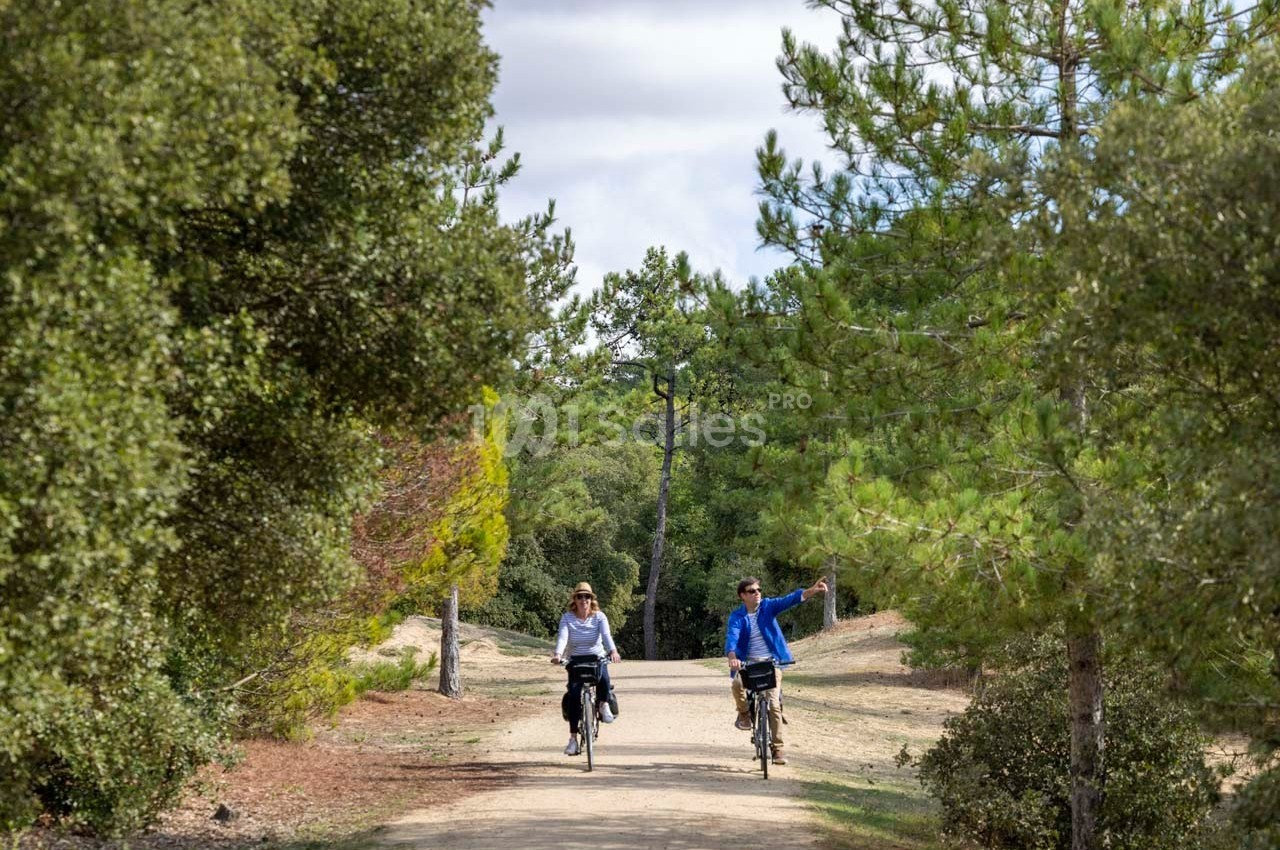 Deux personnes font du vélo sur un chemin forestier entouré de pins et de végétation.