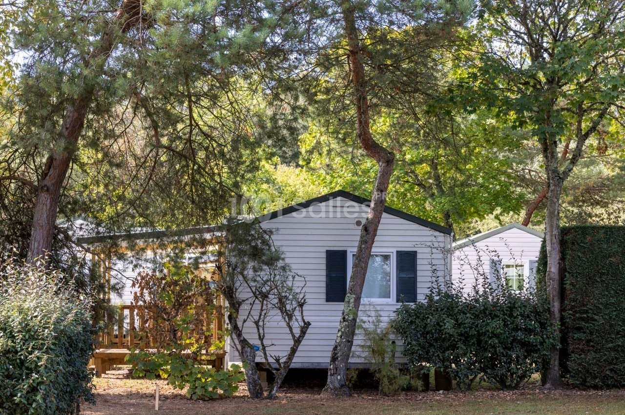 Mobil-home blanc entouré de végétation, avec une terrasse en bois partiellement visible sous des arbres.