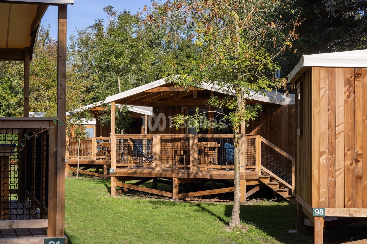 Chalets en bois avec terrasses, entourés d'arbres et de pelouses, dans un cadre naturel et ensoleillé.