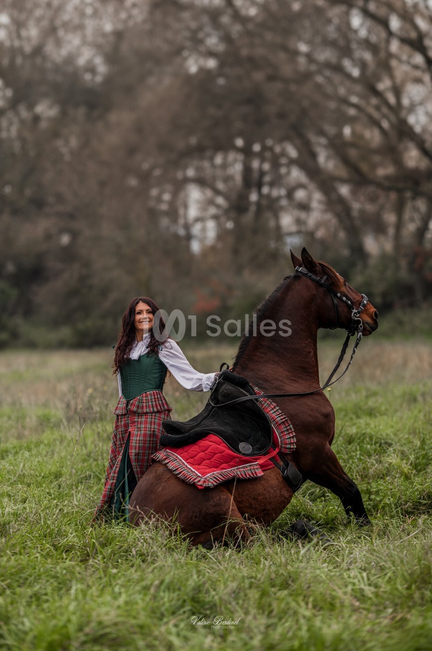 Une femme en tenue traditionnelle pose à côté d'un cheval assis dans un champ verdoyant.
