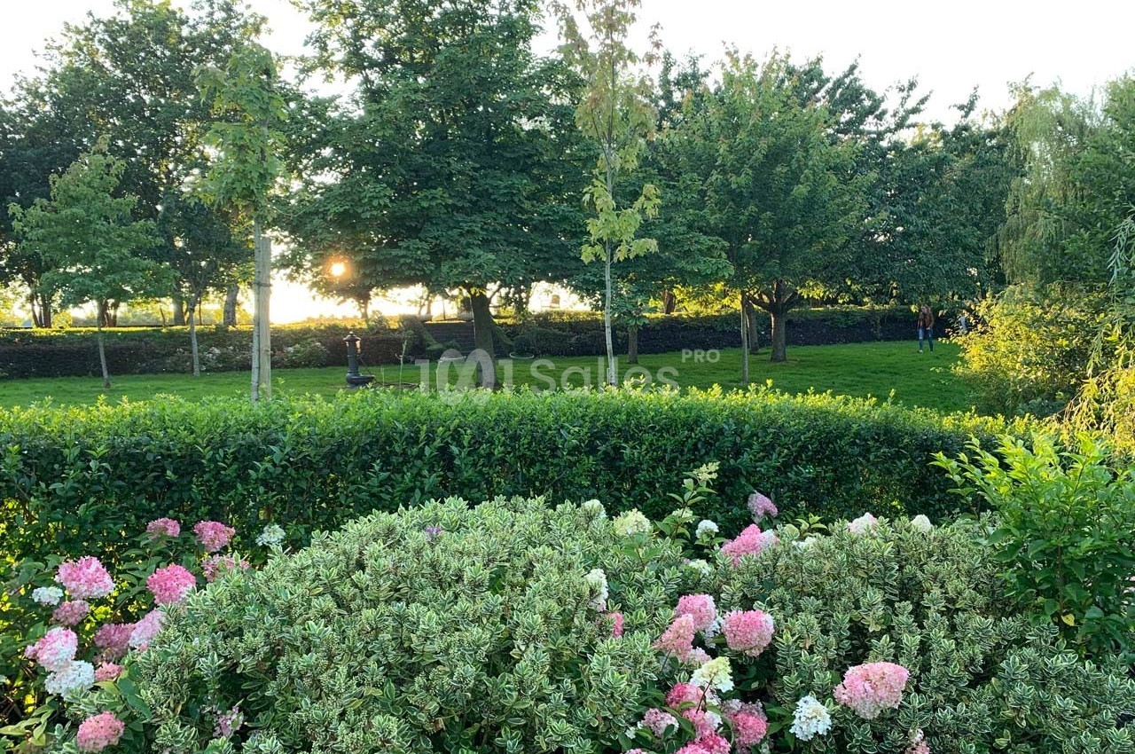 Jardin verdoyant avec des buissons fleuris au premier plan et des arbres éclairés par le soleil couchant en arrière-plan.