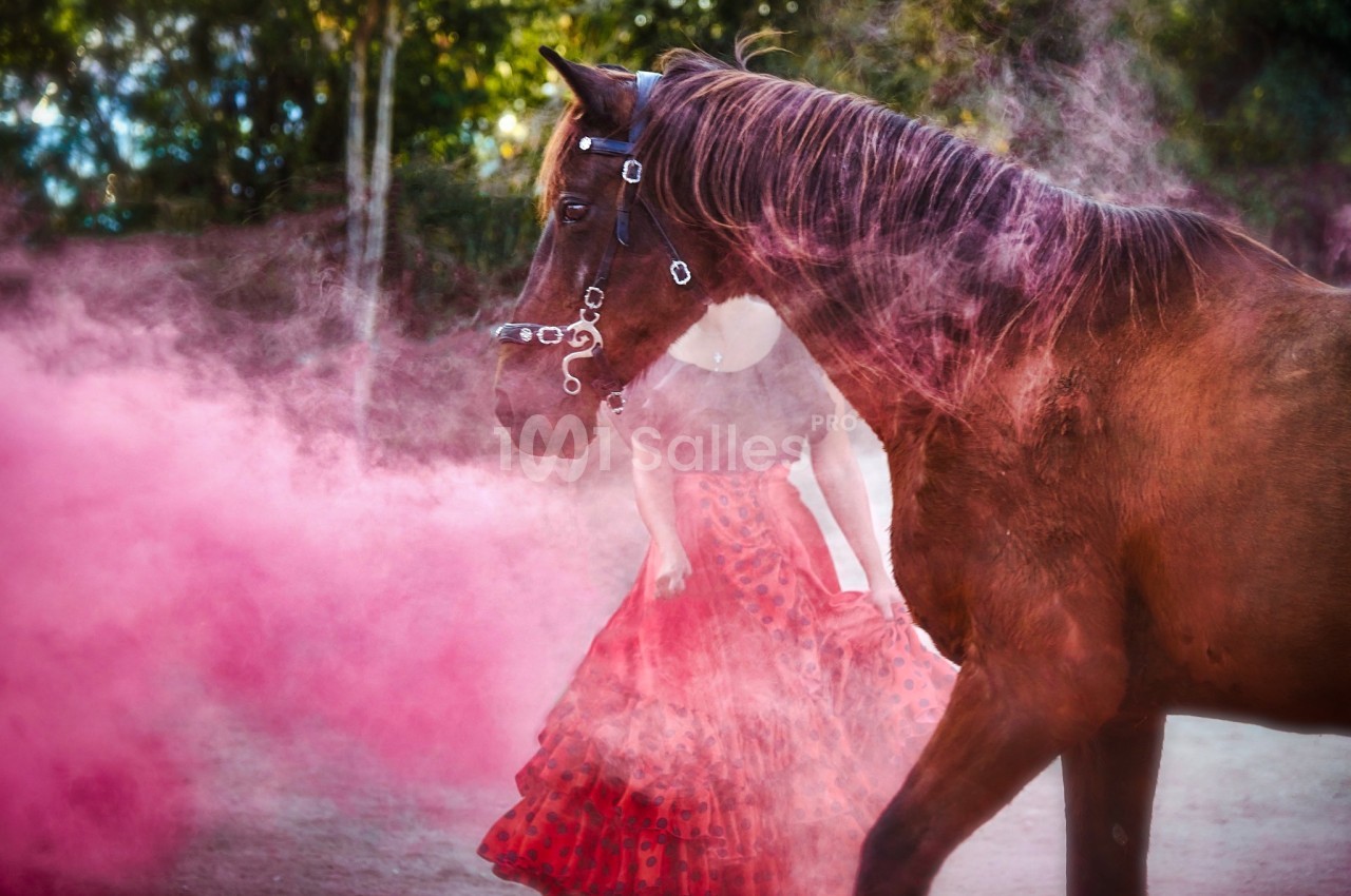 Cheval brun au premier plan avec une femme en jupe rouge et un nuage de fumée rose en arrière-plan.