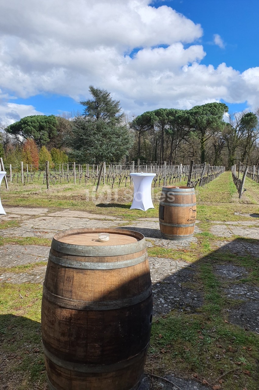 Vue d'un vignoble avec des tonneaux en bois au premier plan et des tables hautes blanches en arrière-plan.