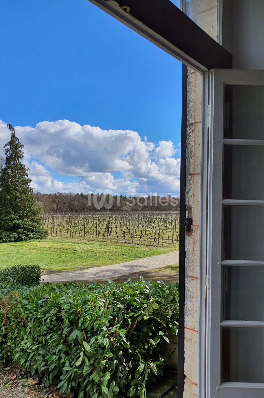 Vue depuis une fenêtre ouverte sur un jardin verdoyant, des vignes et un ciel bleu parsemé de nuages.