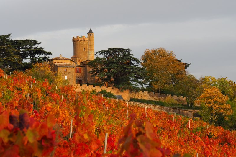 Château de Montmelas - photo 4
