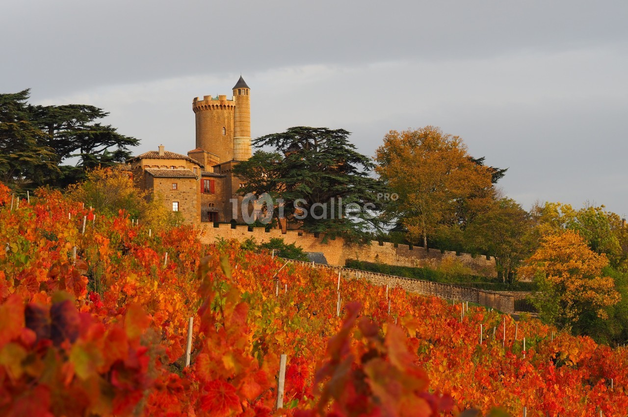 Château de Montmelas - galerie - photo 4