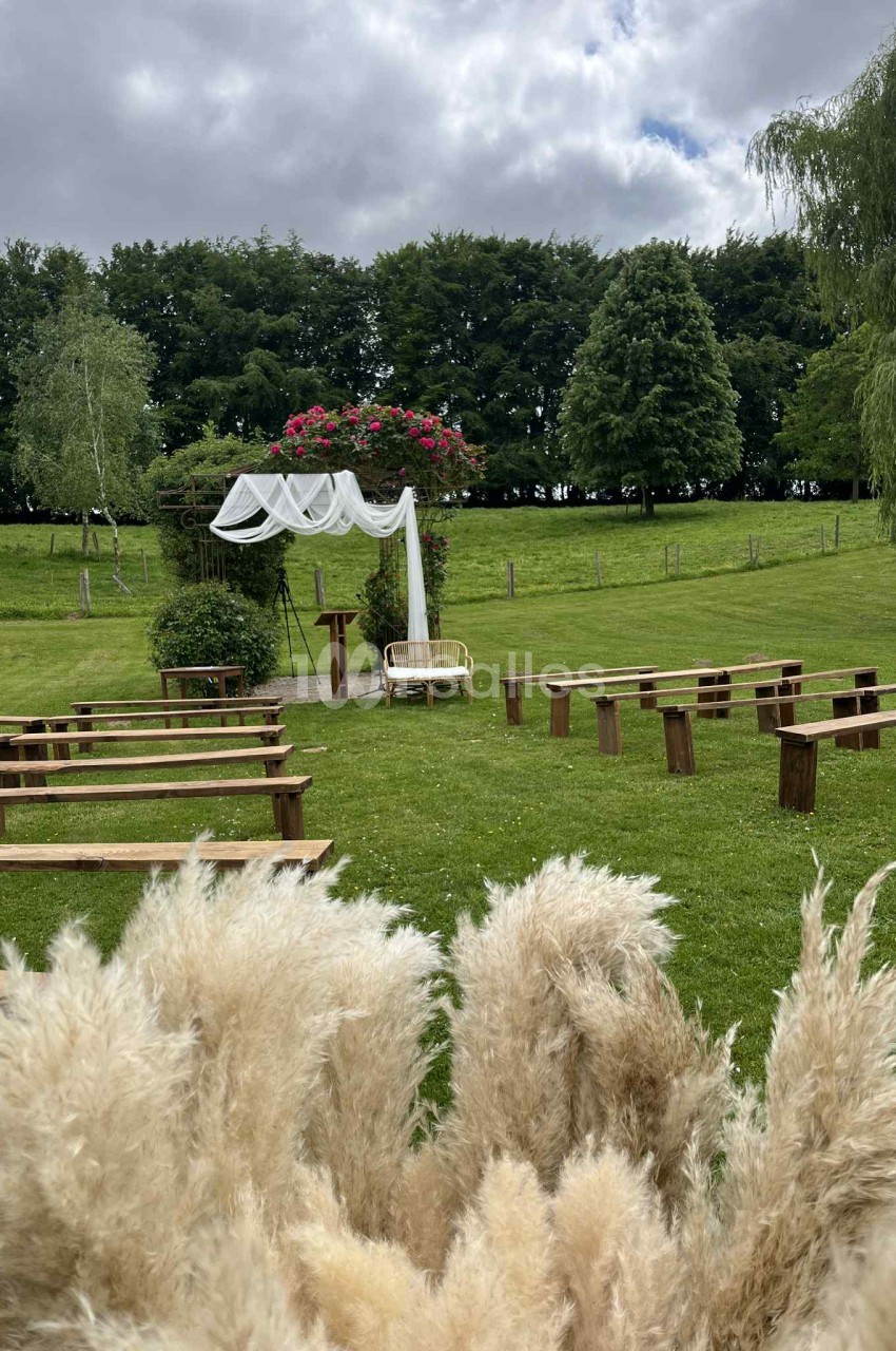 Vue d'une cérémonie en plein air avec arche décorée, bancs en bois et herbes de la pampa au premier plan.