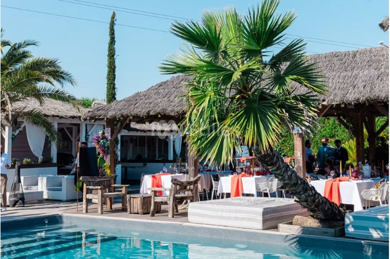 Terrasse ensoleillée avec piscine, palmiers, tables dressées sous des pergolas en bois et ambiance estivale.