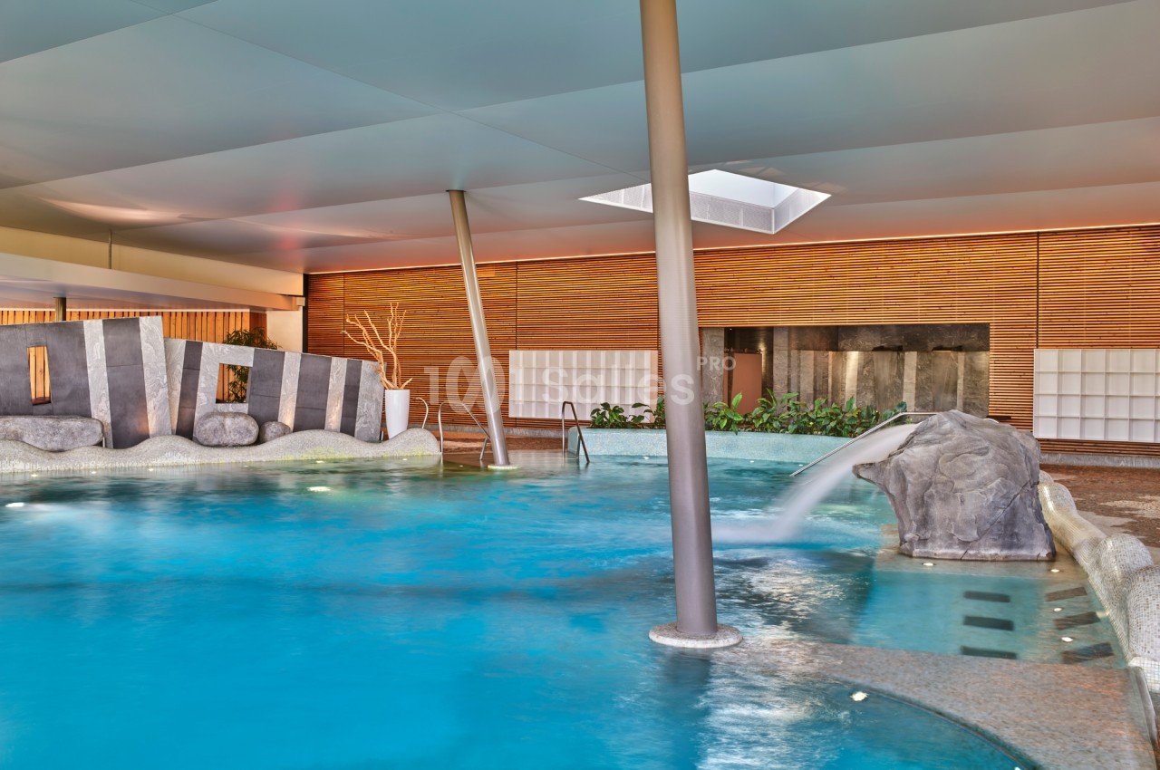 Piscine intérieure avec cascade, entourée de murs en bois et de plantes, éclairée par une lumière naturelle.