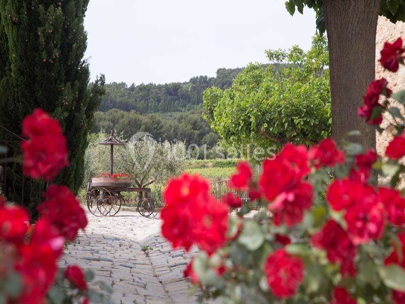 Domaine du Gros Noré - galerie - photo 12