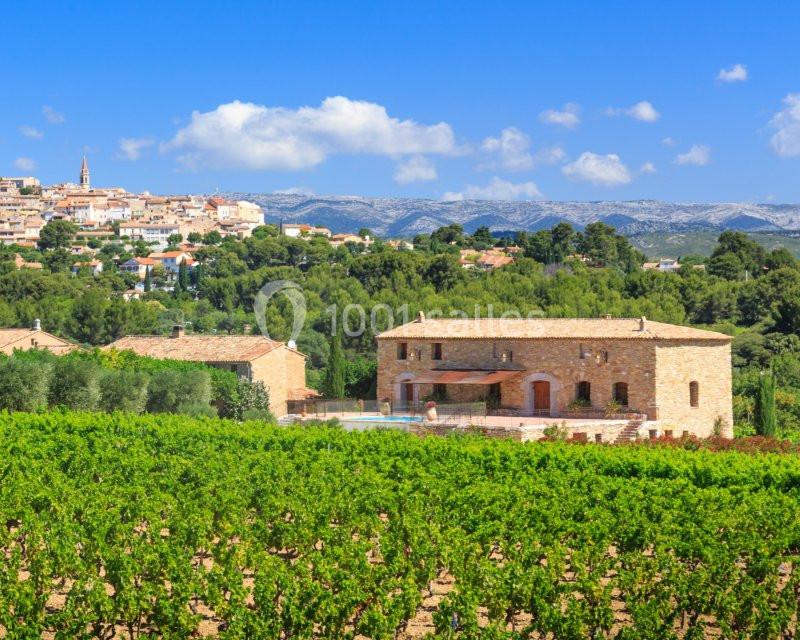 Domaine du Gros Noré - galerie - photo 13