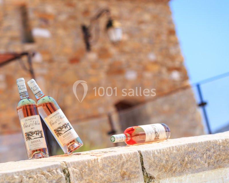 Domaine du Gros Noré - galerie - photo 14