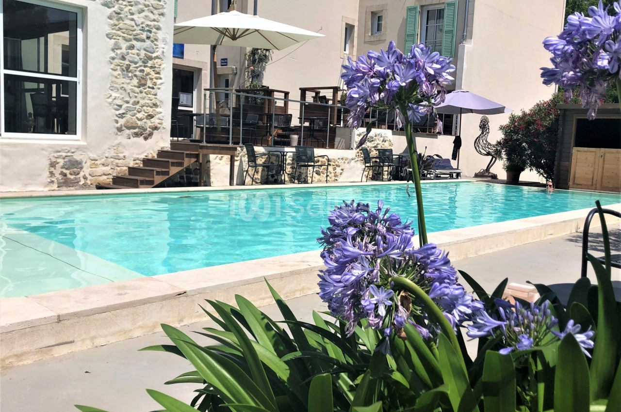 Piscine extérieure bordée de fleurs violettes, avec terrasse ombragée et bâtiments en arrière-plan.