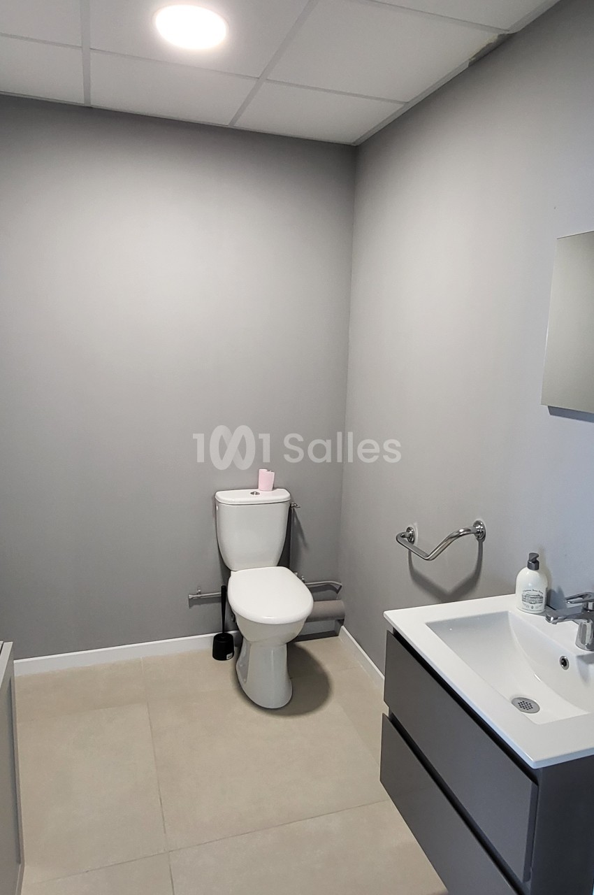 Salle de bain moderne avec toilettes, lavabo suspendu, miroir et murs gris.