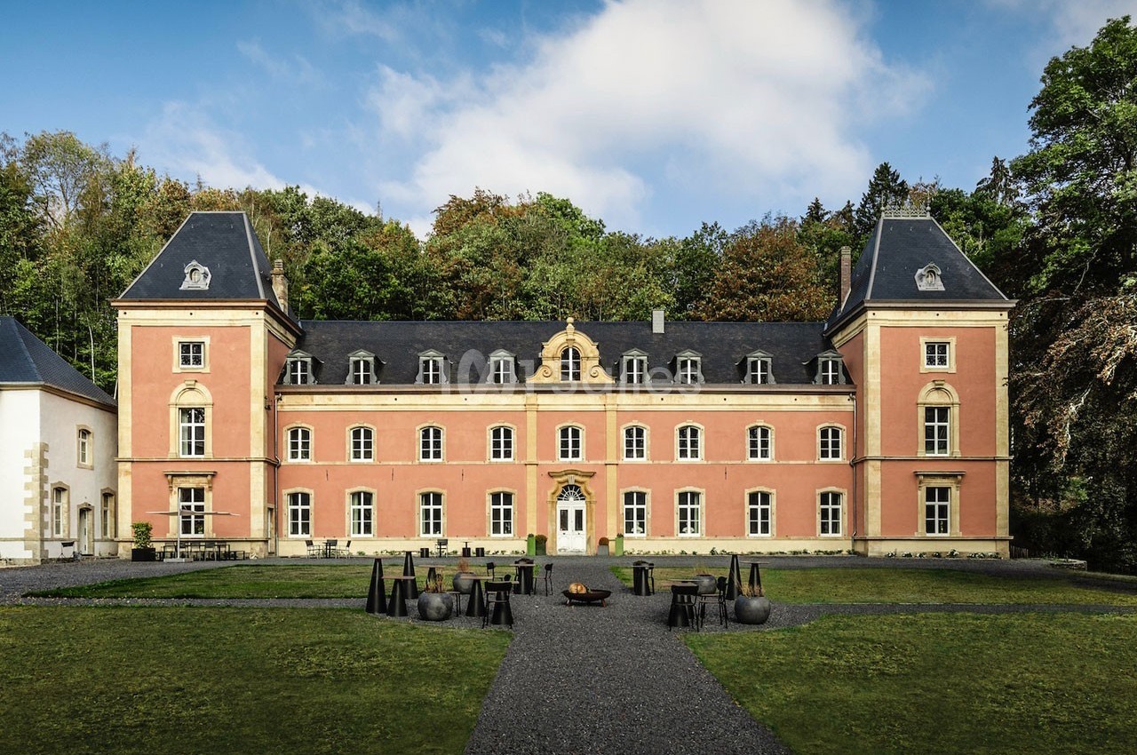 Façade d'un château en pierre rose avec toit en ardoise, entouré de pelouse et de forêt en arrière-plan.