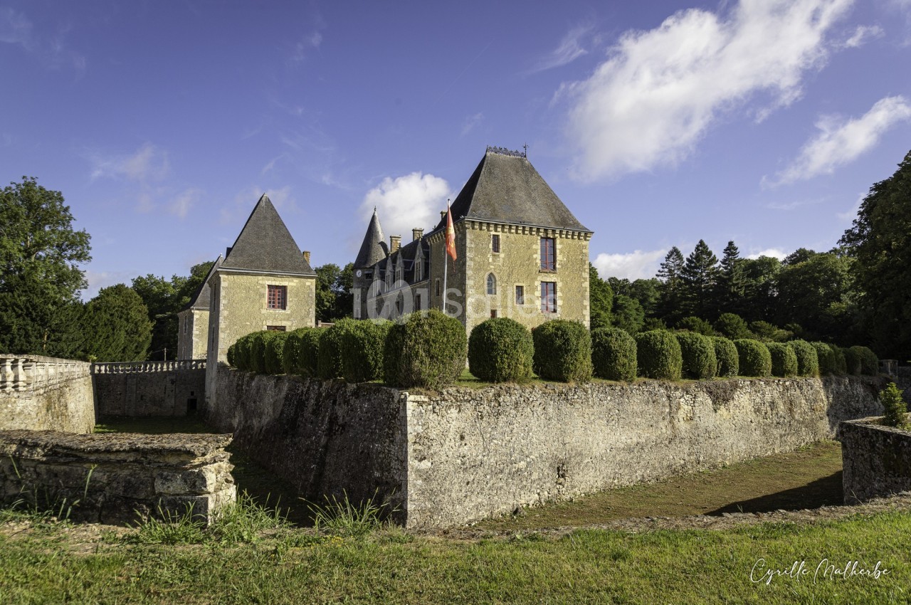 Château en pierre entouré de douves et de haies taillées, avec un ciel bleu et des arbres en arrière-plan.