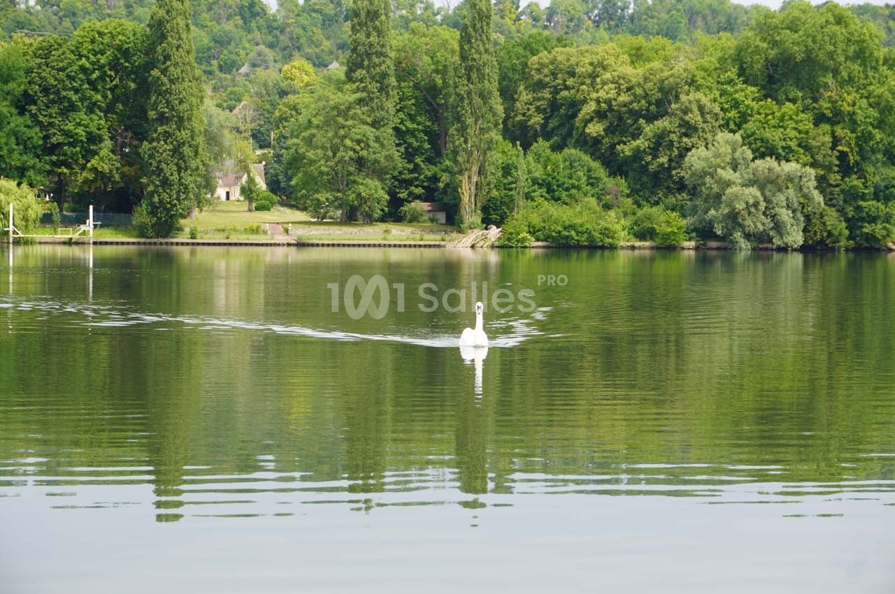 Un cygne nage sur un lac calme entouré de végétation et d'arbres en arrière-plan.