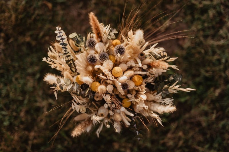Julien Marchione Photographe - photo 3