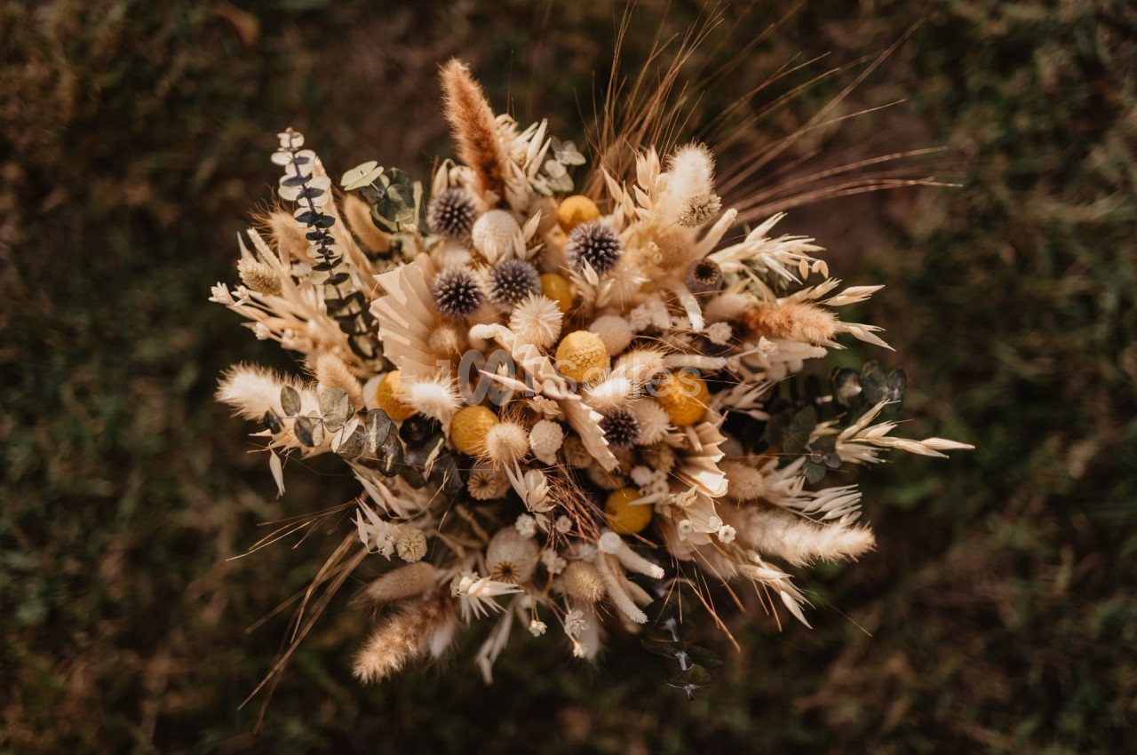 Bouquet de fleurs séchées aux teintes naturelles avec des éléments beige, jaune et brun disposés harmonieusement.