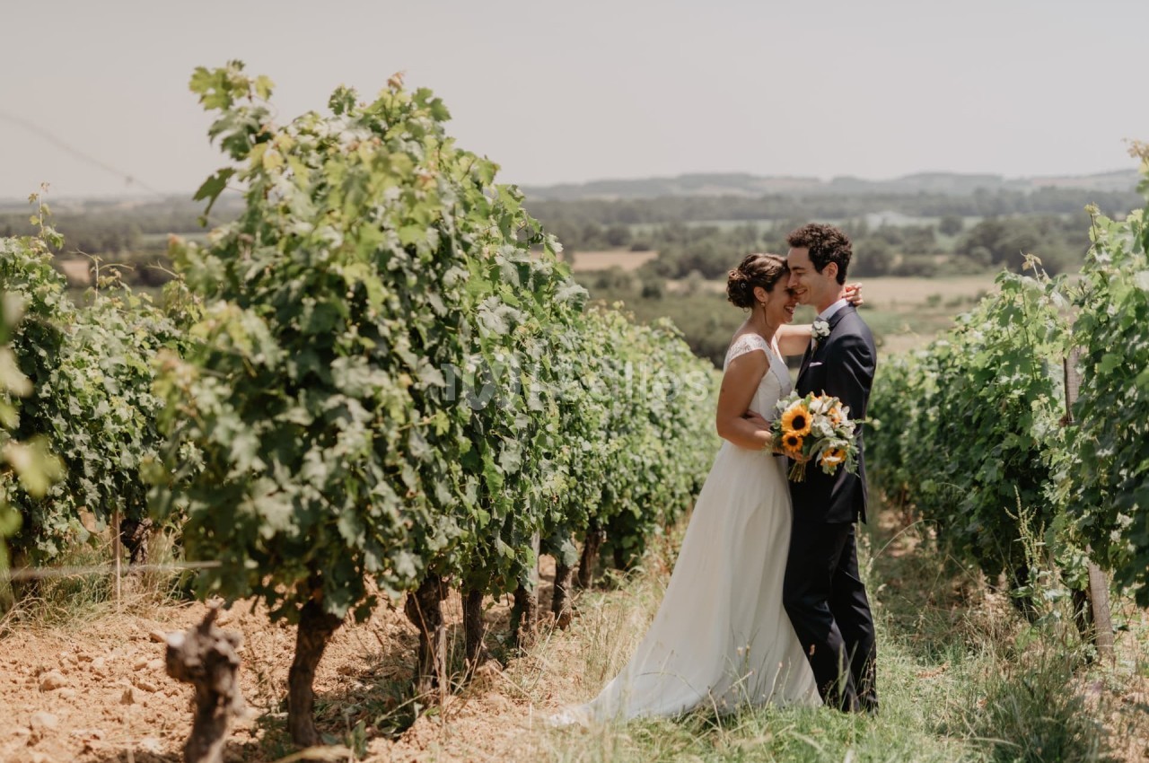Un couple en tenue de mariage s'embrasse au milieu d'un vignoble sous un ciel clair.