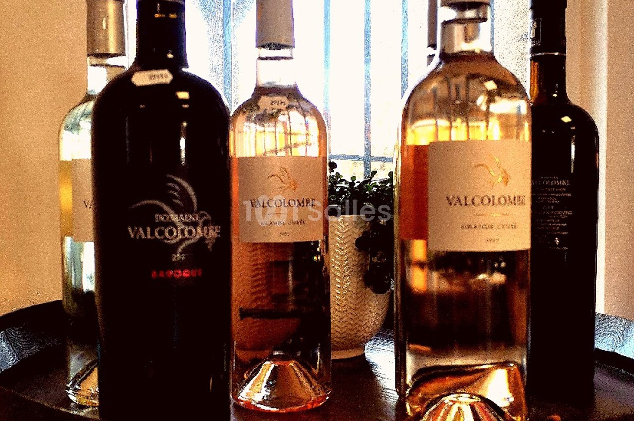 Bouteilles de vin rouge et rosé disposées sur un tonneau en bois, avec une plante en arrière-plan.