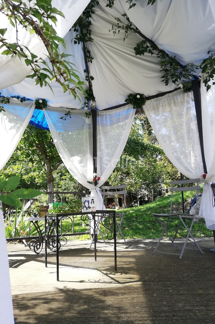 Tonnelle décorée de voilages blancs et de feuillage, avec table et chaises sur une terrasse ensoleillée.