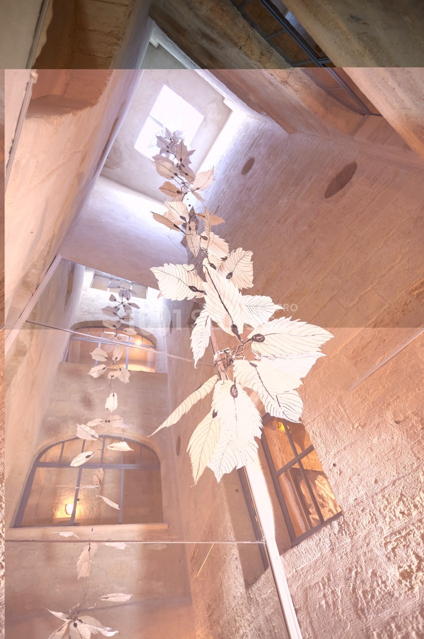 Installation artistique représentant des feuilles suspendues dans un espace architectural en pierre avec lumière naturelle.