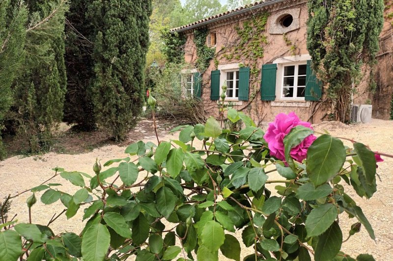 Mas des Vignes - photo 4