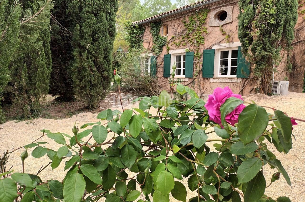 Mas des Vignes - galerie - photo 4