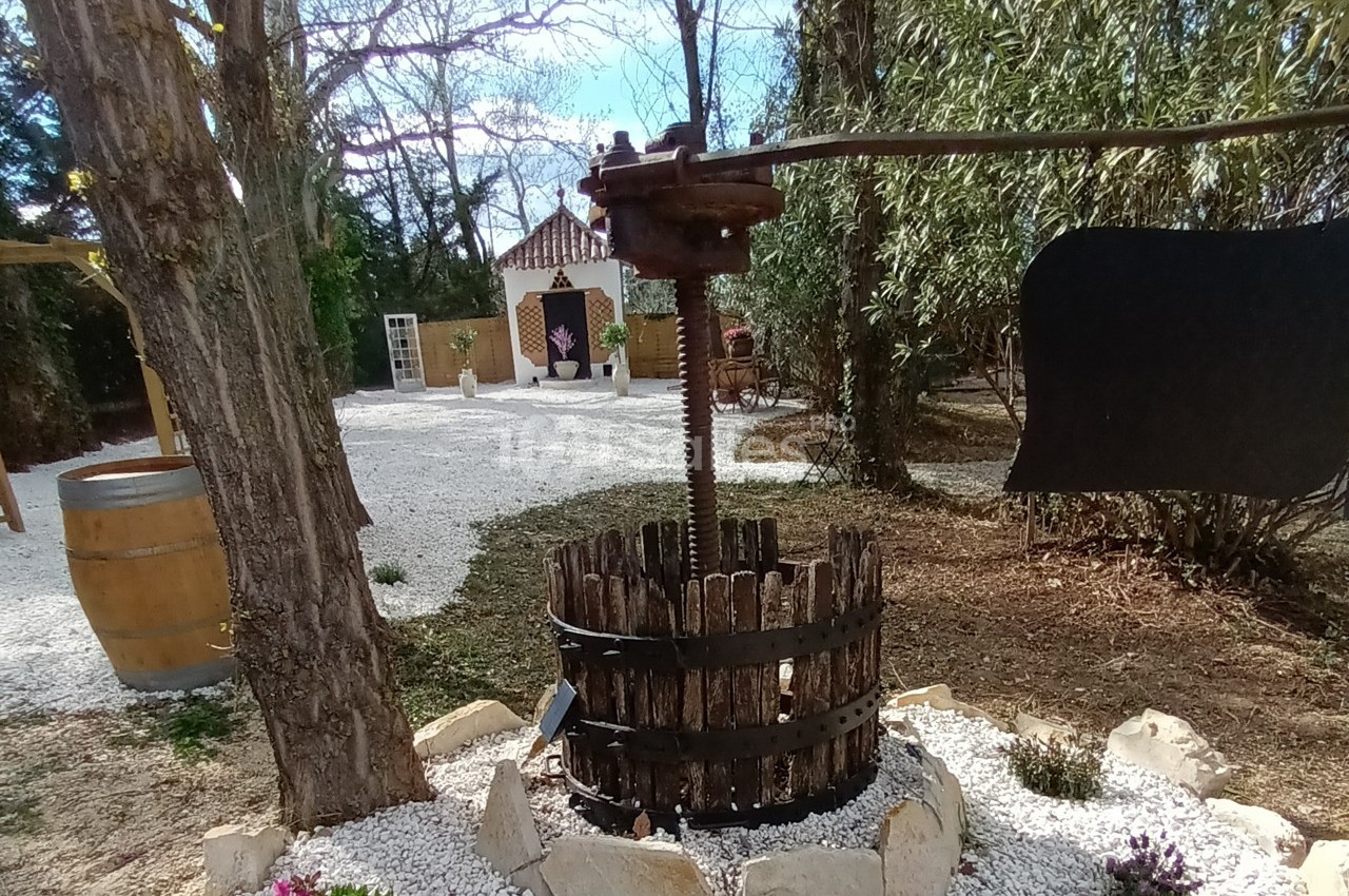 Mas des Vignes - galerie - photo 29