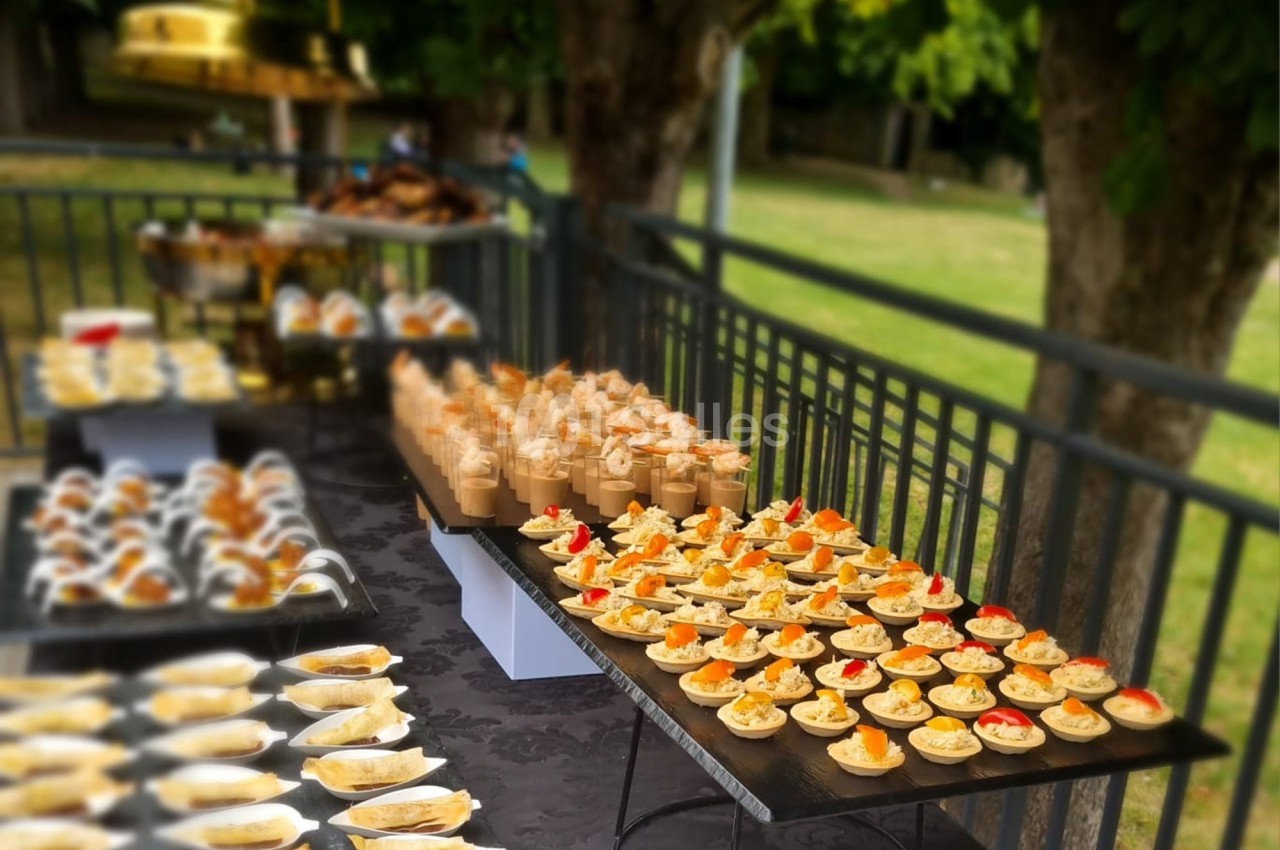 Buffet en extérieur avec des amuse-bouches variés disposés sur des plateaux noirs près d'une clôture et d'arbres.