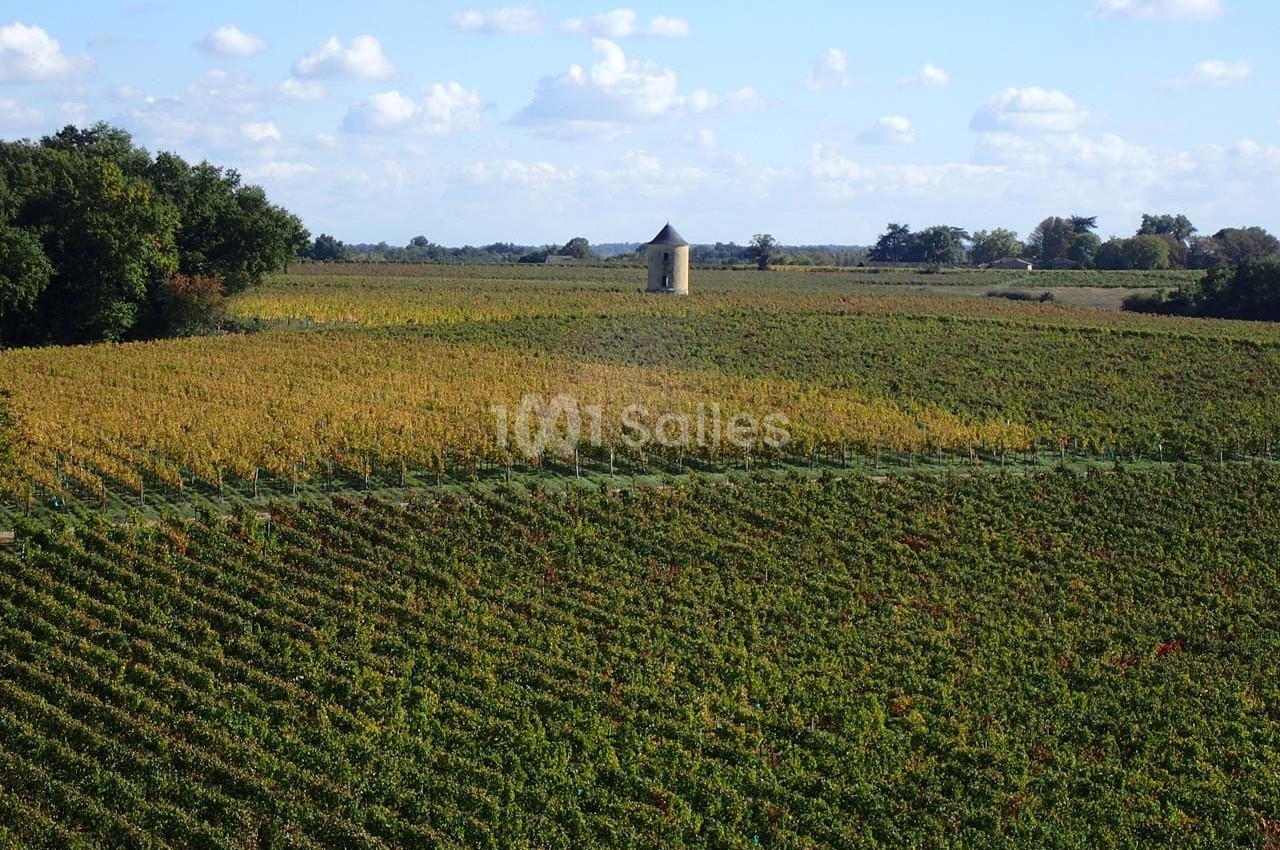 Vignoble verdoyant avec un petit bâtiment en pierre au centre, entouré de champs sous un ciel partiellement nuageux.