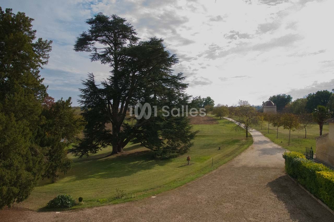 Allée bordée d'arbres et pelouse avec un grand cèdre au centre, sous un ciel partiellement nuageux.