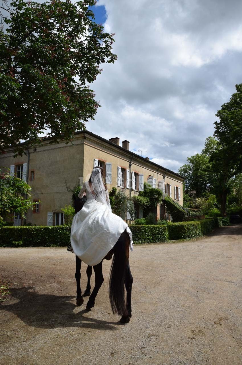 Un cheval noir portant un voile blanc devant une grande maison entourée de verdure, sous un ciel nuageux.
