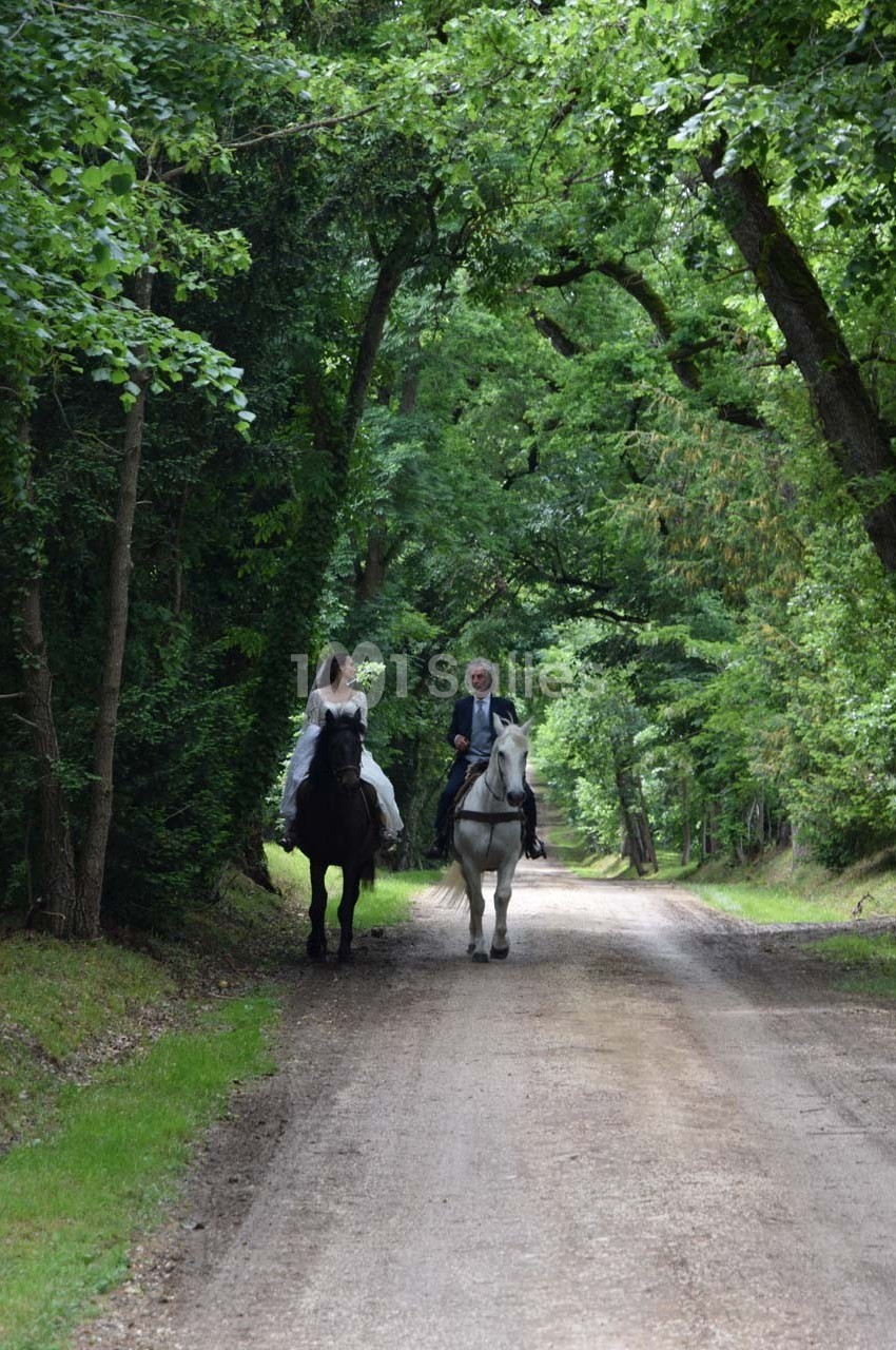 Deux personnes à cheval se promènent sur un chemin forestier bordé d'arbres verdoyants.