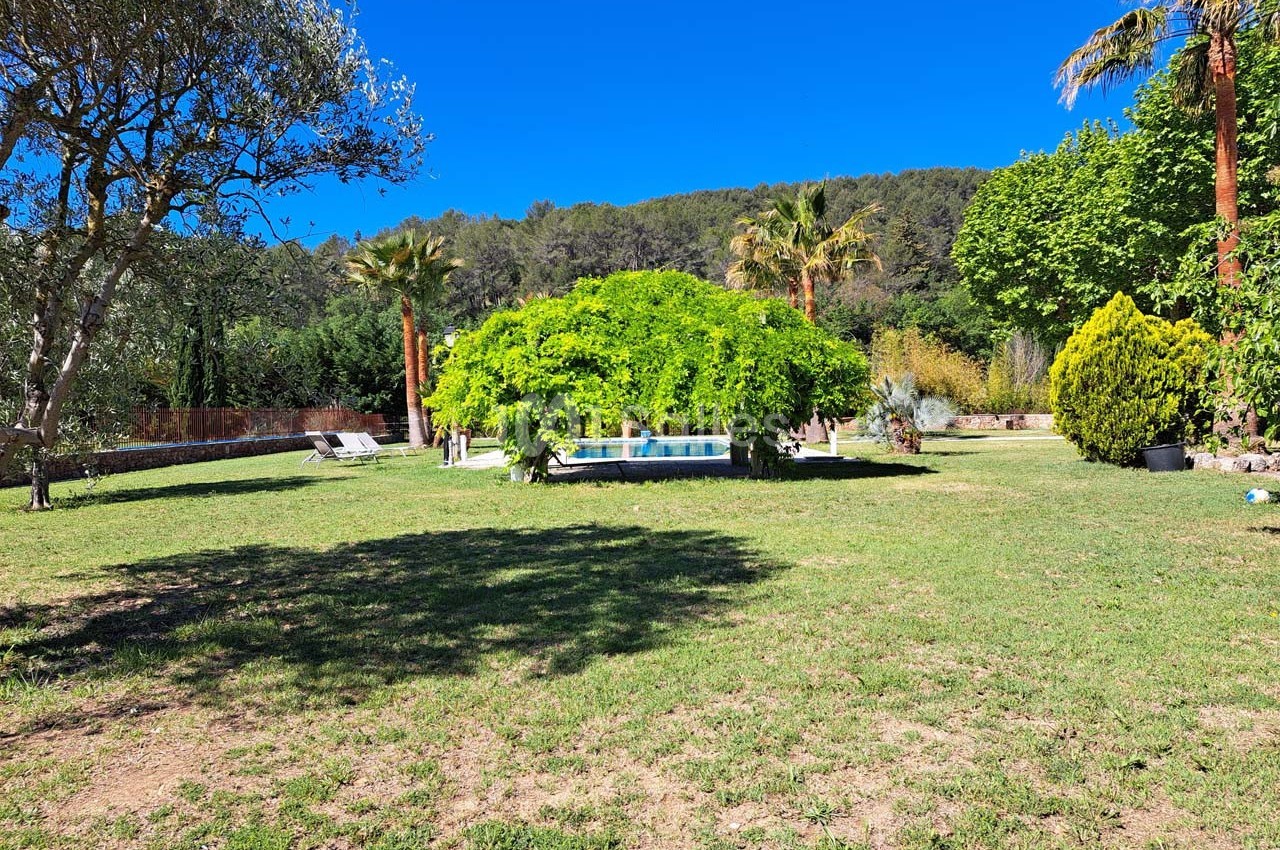 Jardin avec pelouse, arbres, piscine au centre et collines boisées en arrière-plan sous un ciel bleu.