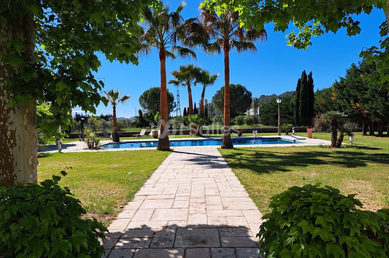 Allée pavée bordée de verdure menant à une piscine entourée de palmiers sous un ciel bleu clair.