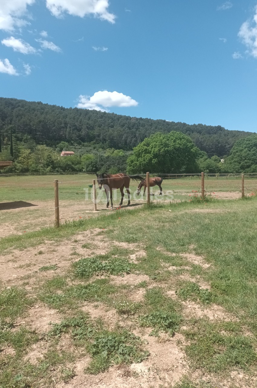 Deux chevaux bruns dans un pré clôturé, entouré de verdure et de collines sous un ciel bleu.