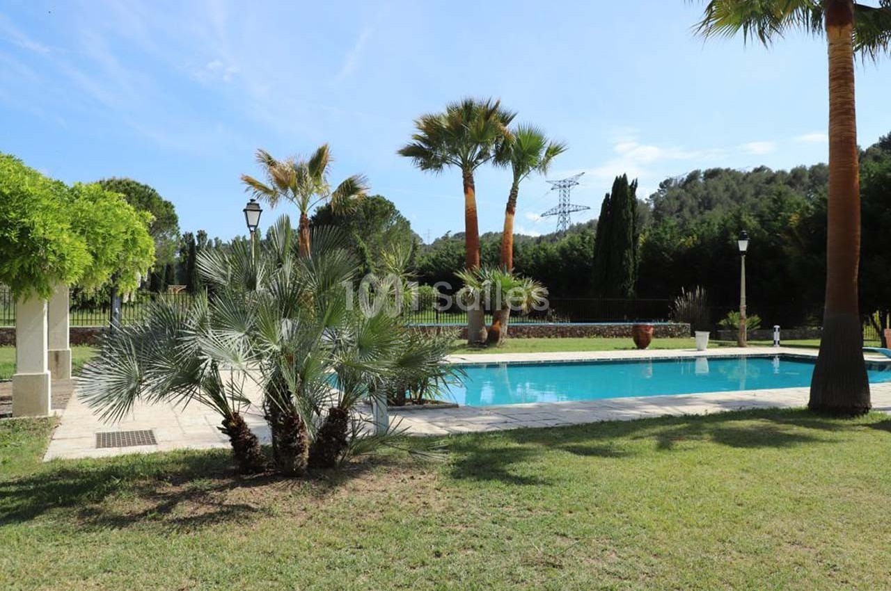 Piscine extérieure entourée de palmiers et de pelouse, avec un ciel dégagé et des collines en arrière-plan.