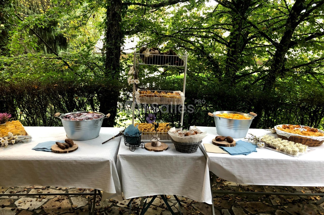 Buffet en plein air avec tables dressées, proposant desserts variés, fruits et boissons dans un cadre arboré.