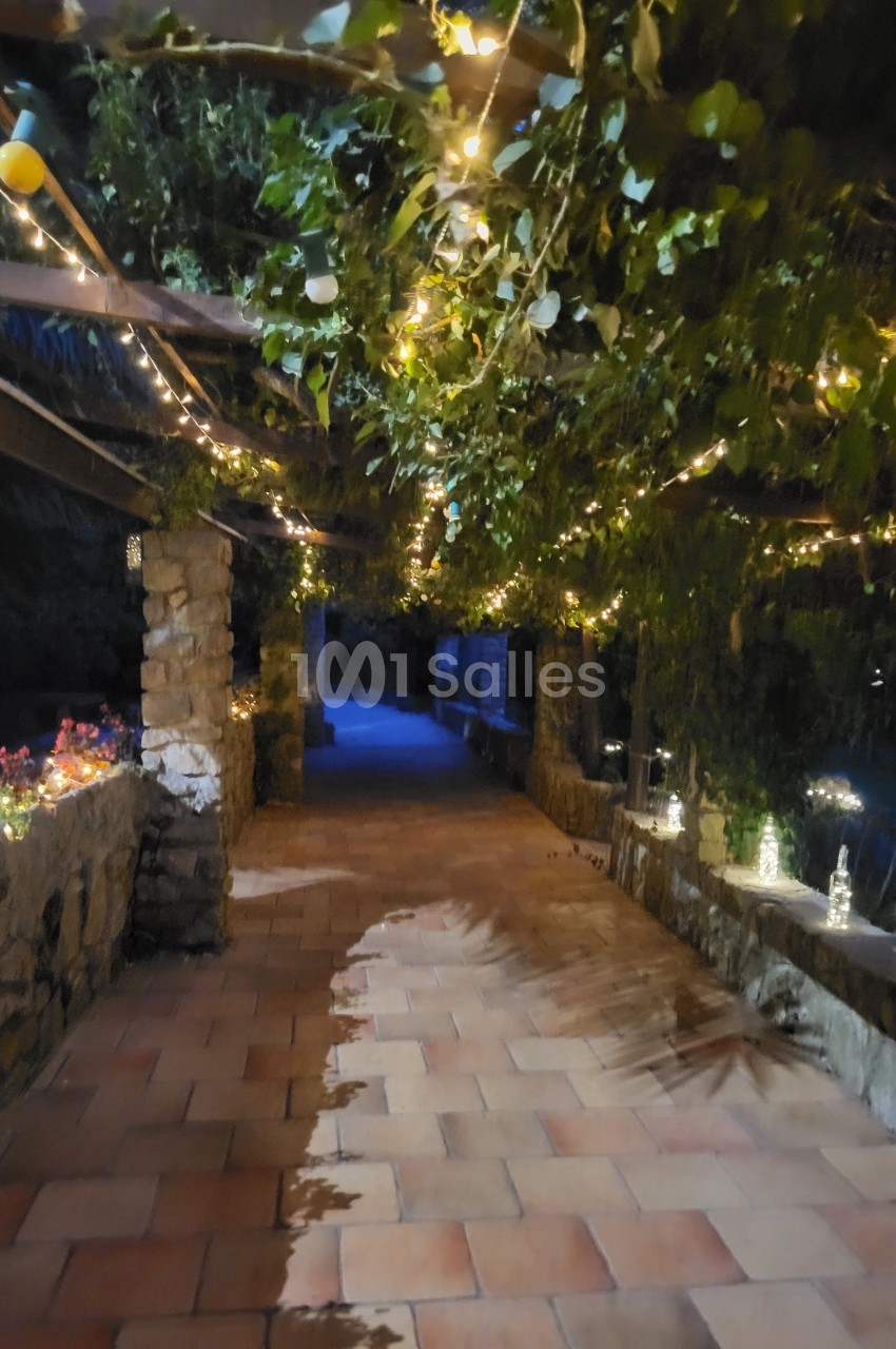 Passage en pierre avec pergola couverte de feuillage et guirlandes lumineuses, éclairant un chemin pavé la nuit.