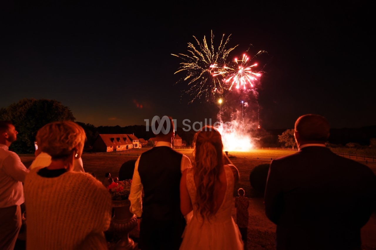 Un groupe de personnes observe un feu d'artifice illuminant le ciel nocturne au-dessus d'un paysage rural.
