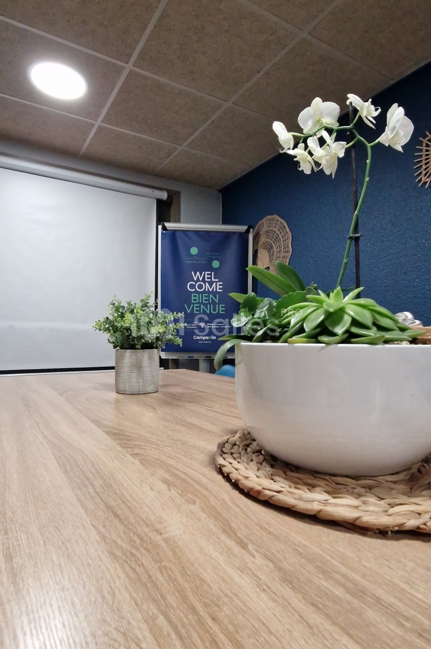 Salle de réunion avec table en bois, plantes décoratives et écran de projection en arrière-plan.