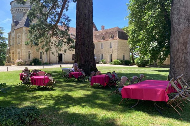 Chateau de Bouesse en Berry - photo 1