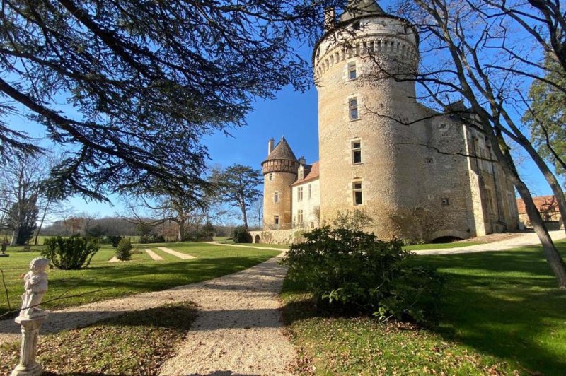 Chateau de Bouesse en Berry - photo 4