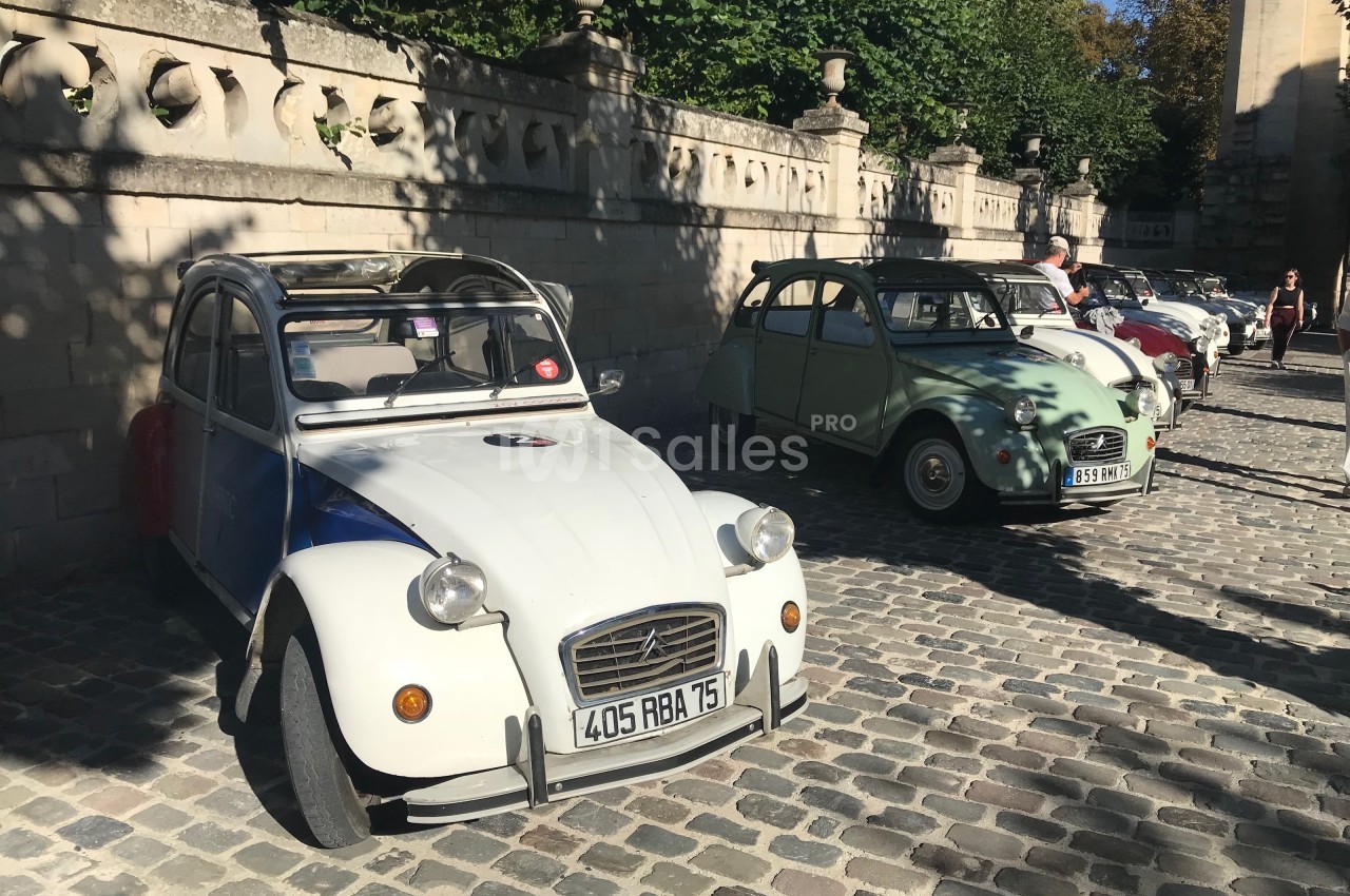 Plusieurs Citroën 2CV anciennes stationnées sur une rue pavée, bordée d'un mur en pierre et d'arbres.
