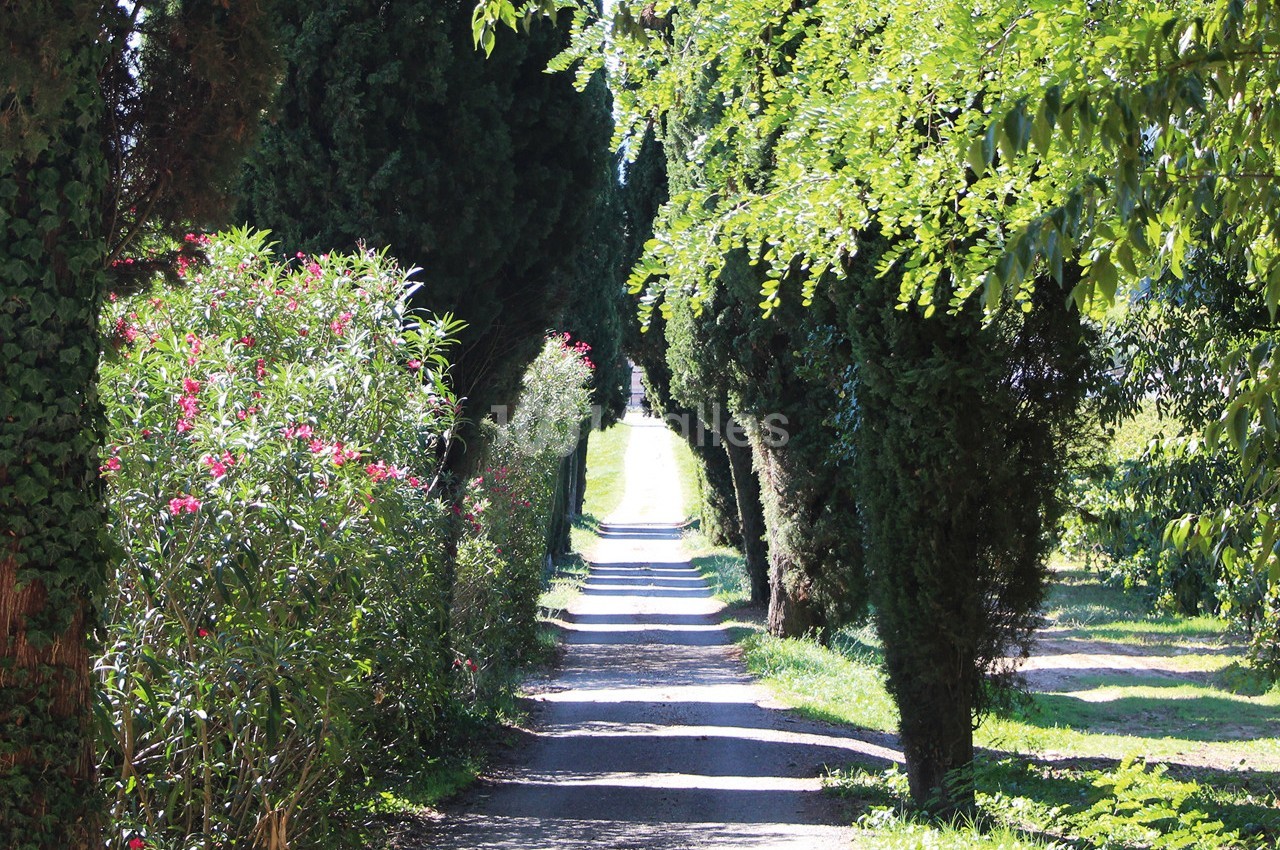 Allée centrale du Château - avant rénovation