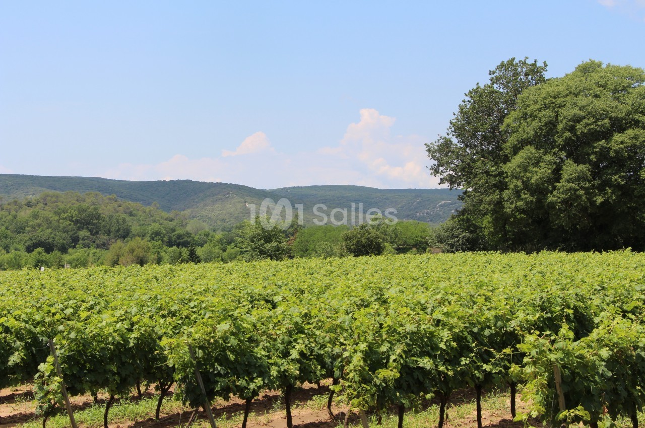 Le vignoble du Château et la vue sur la vallée
