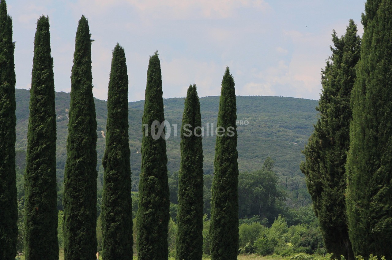 Château de l’Olivete - galerie - photo 39